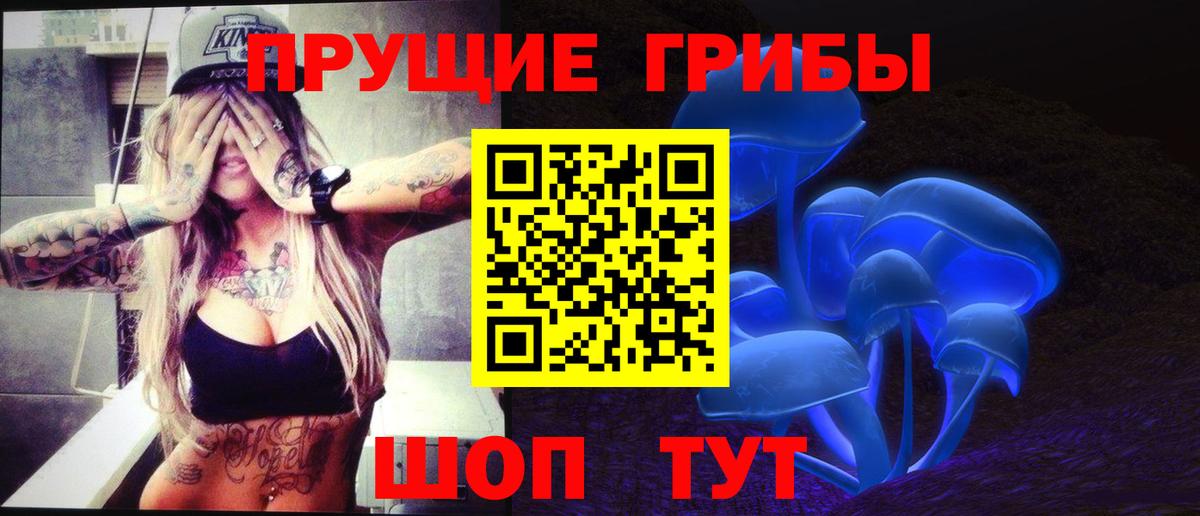 Галлюциногенные грибы GOLDEN TEACHER  Псилоцибиновые грибы GOLDEN TEACHER  Родники  Вход с VPN 