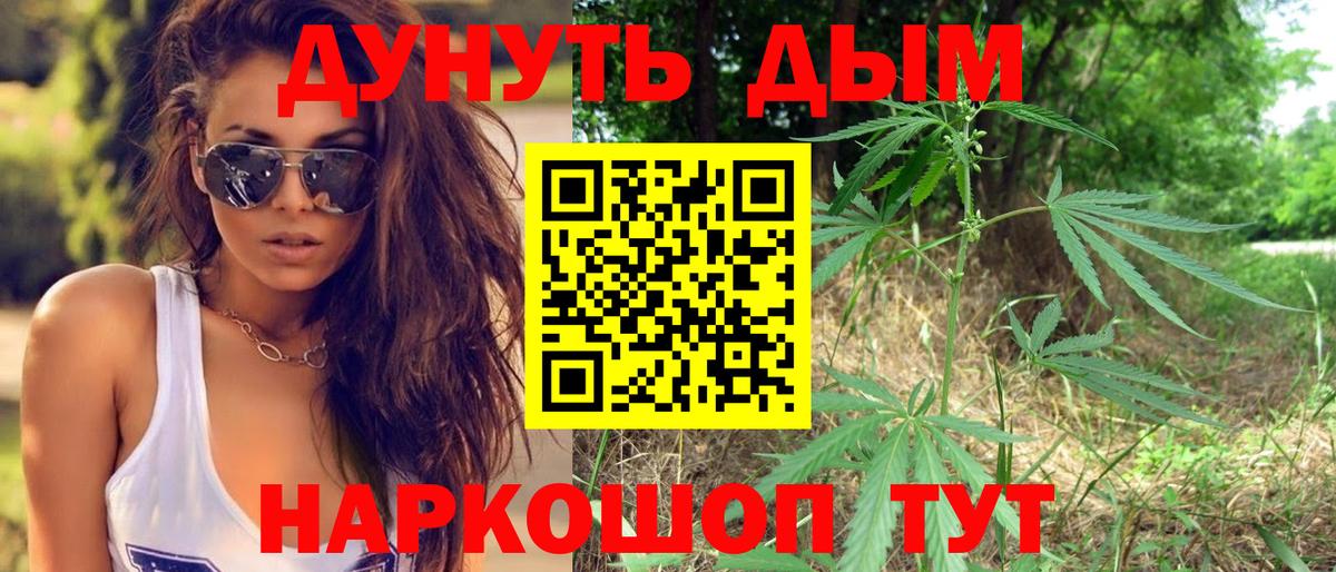 Родники  Конопля AK-47  Бошки Шишки Bruce Banner  Вход с VPN 